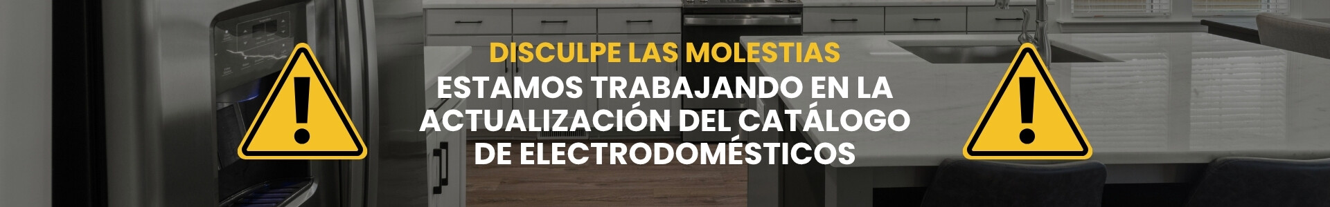 Electrodomésticos Banner