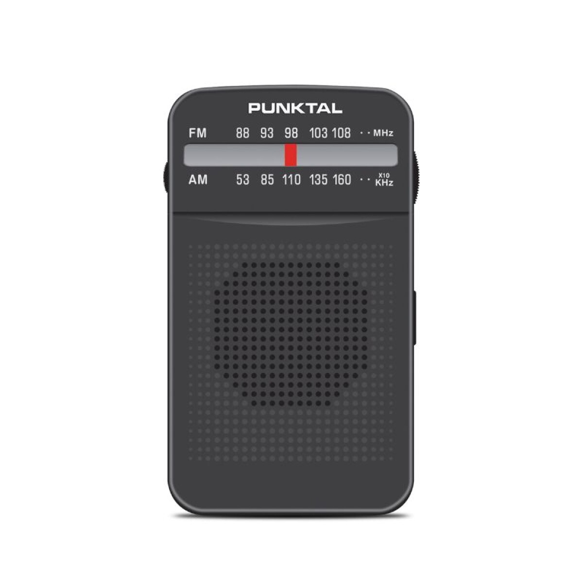 RADIO PORTATIL AM/FM - PK-24 - PUNKTAL 