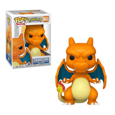 Charizard Pokemon 843