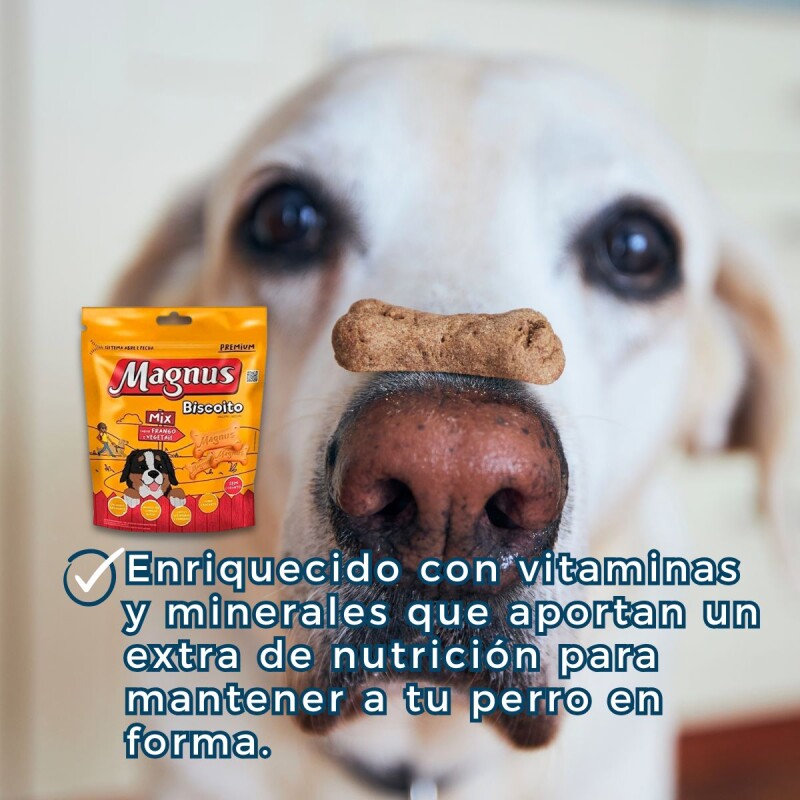 GALLETAS MAGNUS 500 G GALLETAS MAGNUS 500 G