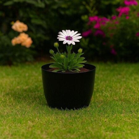 MACETA REDONDA 22 CM UMBRA NEGRO NEGRO