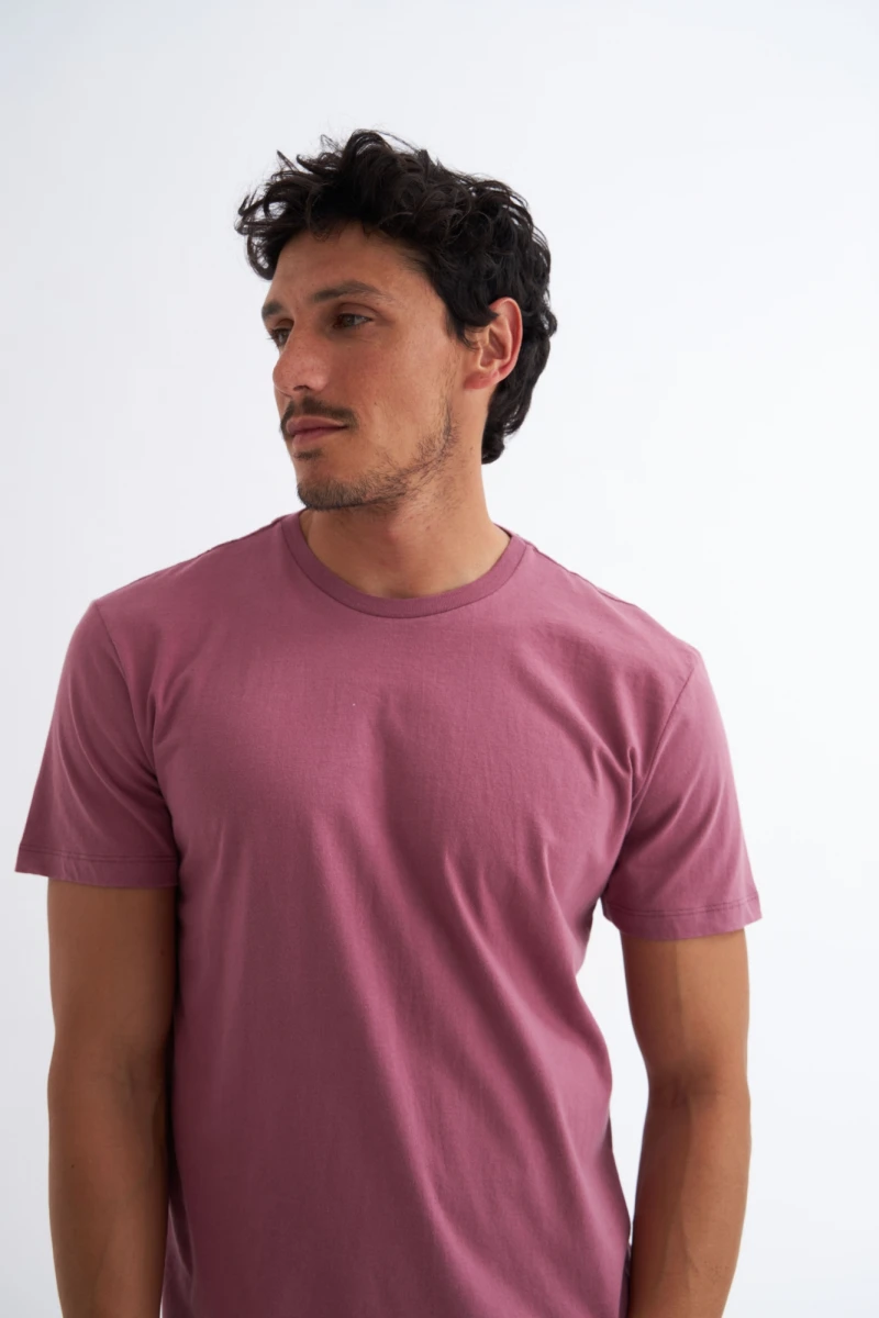 Remera básica Carpi - Bordeaux 