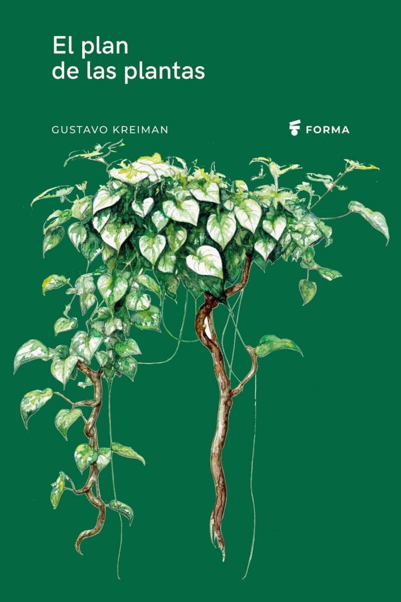 Plan De Las Plantas, El 