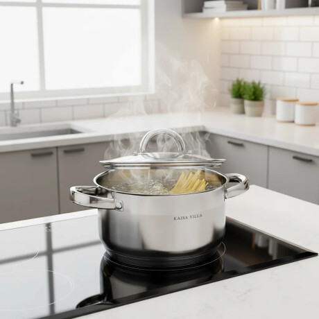 Olla Cacerola Con Tapa Vidrio 7.9L Acero Inoxidable D.26cm Plateado