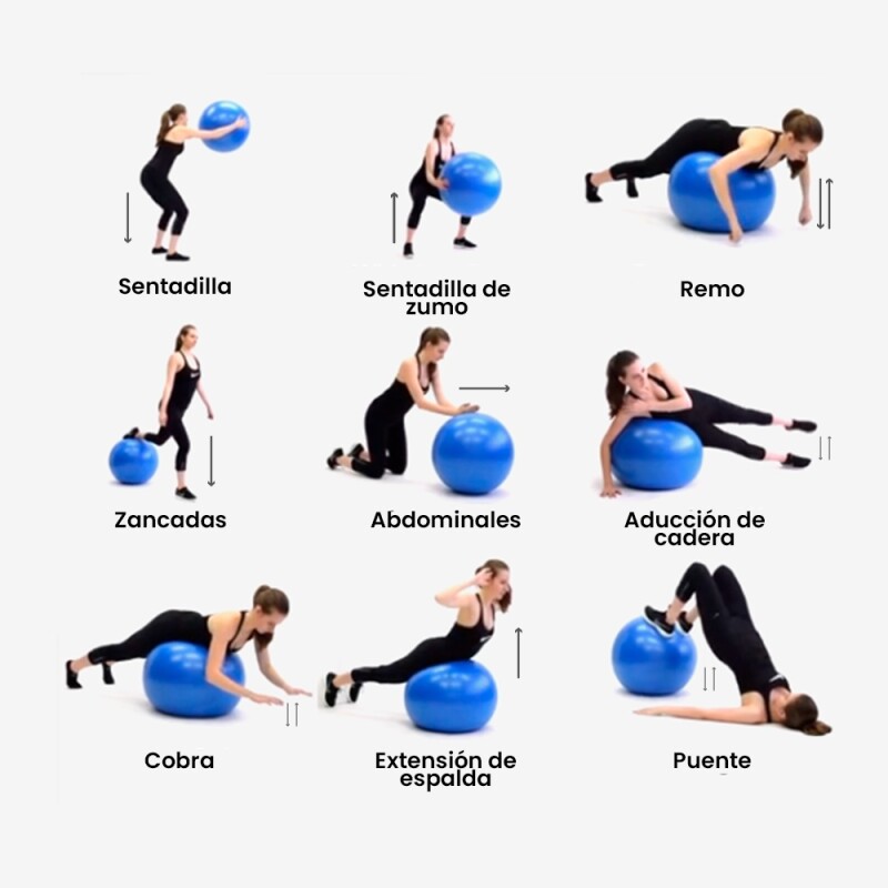 Pelota De Gimnasia 75cm Everlast Azul