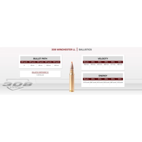 BALA FIOCCHI CAL 308WIN 180GRS EPN FIO/709913 BALA FIOCCHI CAL 308WIN 180GRS EPN FIO/709913