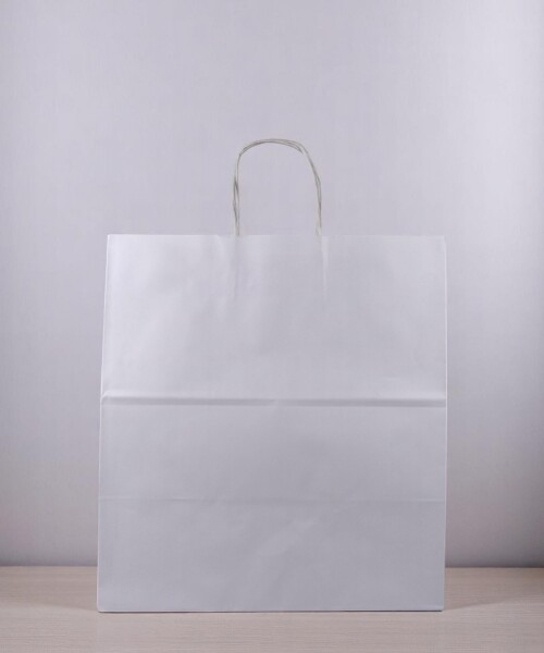Bolsa lisa luna 36x22x39 cm BLANCO