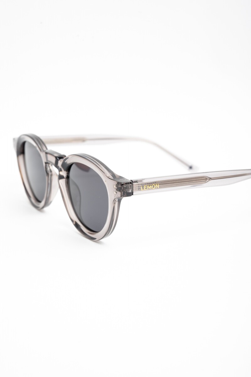 Lentes De Sol Polarizados Gris