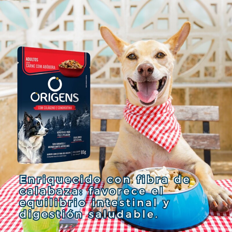 SALSA ORIGENS PERRO ADULTO 85 GR CARNE CON CALABAZA
