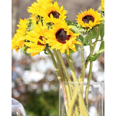 Perfume Elizabeth Arden Sunflowers 100ml Original Perfume Elizabeth Arden Sunflowers 100ml Original