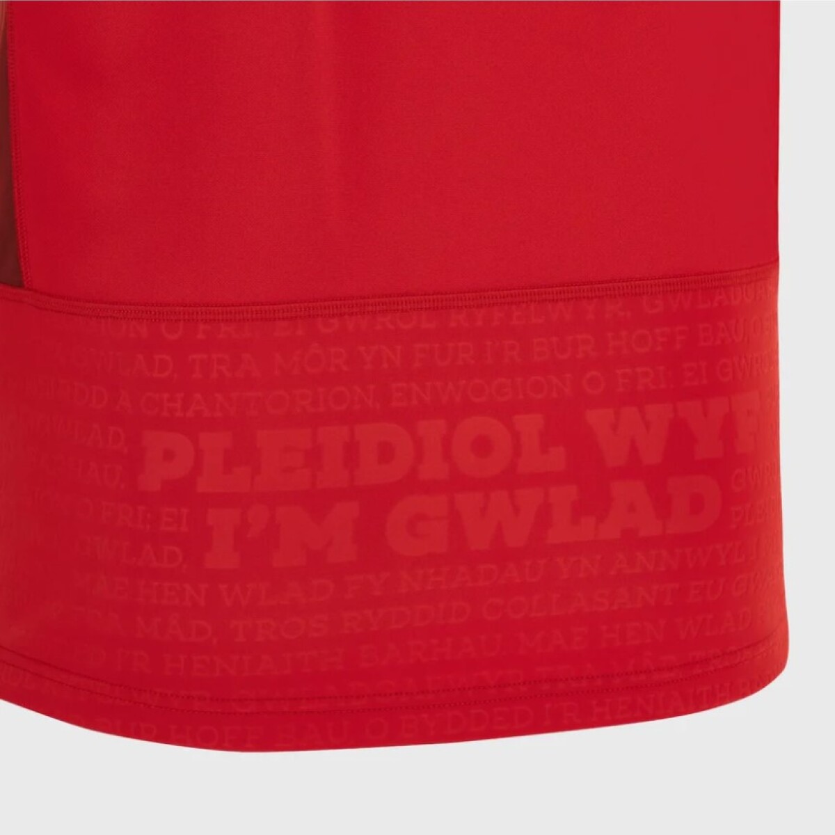CAMISETA OFICIAL WALES RUGBY CAMISETA OFICIAL WALES RUGBY