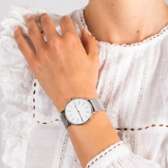 Reloj SKAGEN SIGNATUR Acero Plateado Esfera 38mm 0