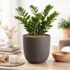 MACETA JAR Gris - Medium