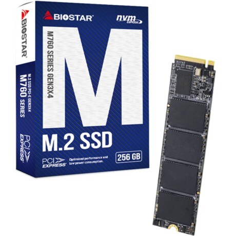 Disco M.2 Ssd Biostar 256GB 001