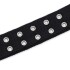 Collar Hebilla Nylon Perros Raza Grande 65 cm Ajustable Variante Color Negro