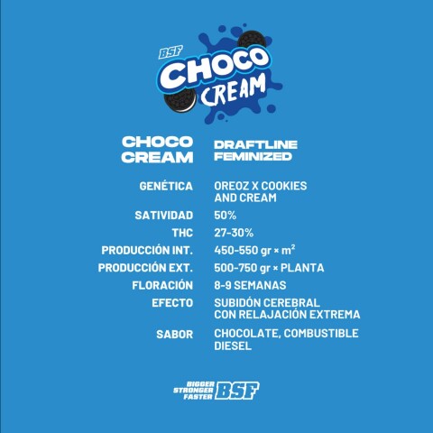 FEM - CHOCO CREAM X12 UNIDADES