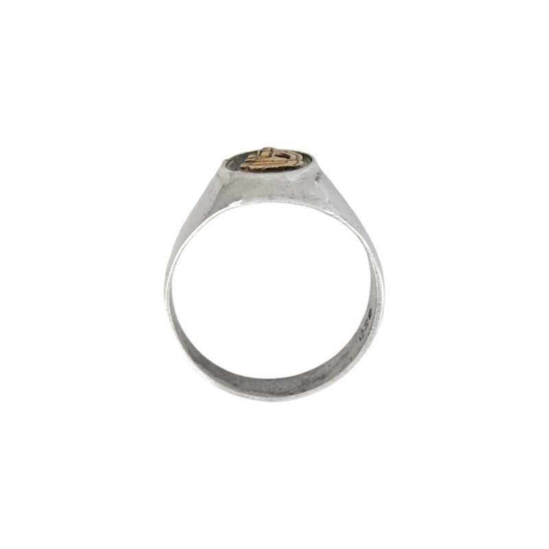 Anillo Profesión Laboratorista -Plata y Oro - AP5052 sinpiedra