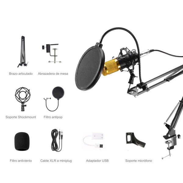 Microfono Condensador Kit Grabación Brazo Articulado Youtuber Gamer Pro Usb Imback Color Dorado Microfono Condensador Kit Grabación Brazo Articulado Youtuber Gamer Pro Usb Imback Color Dorado
