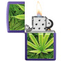 Encendedor ZIPPO 49790 C/Diseño Violeta 0