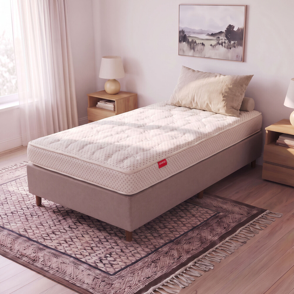 SOMMIER DE ESPUMA IVORY PLUS CLASSIC 1 PLAZA