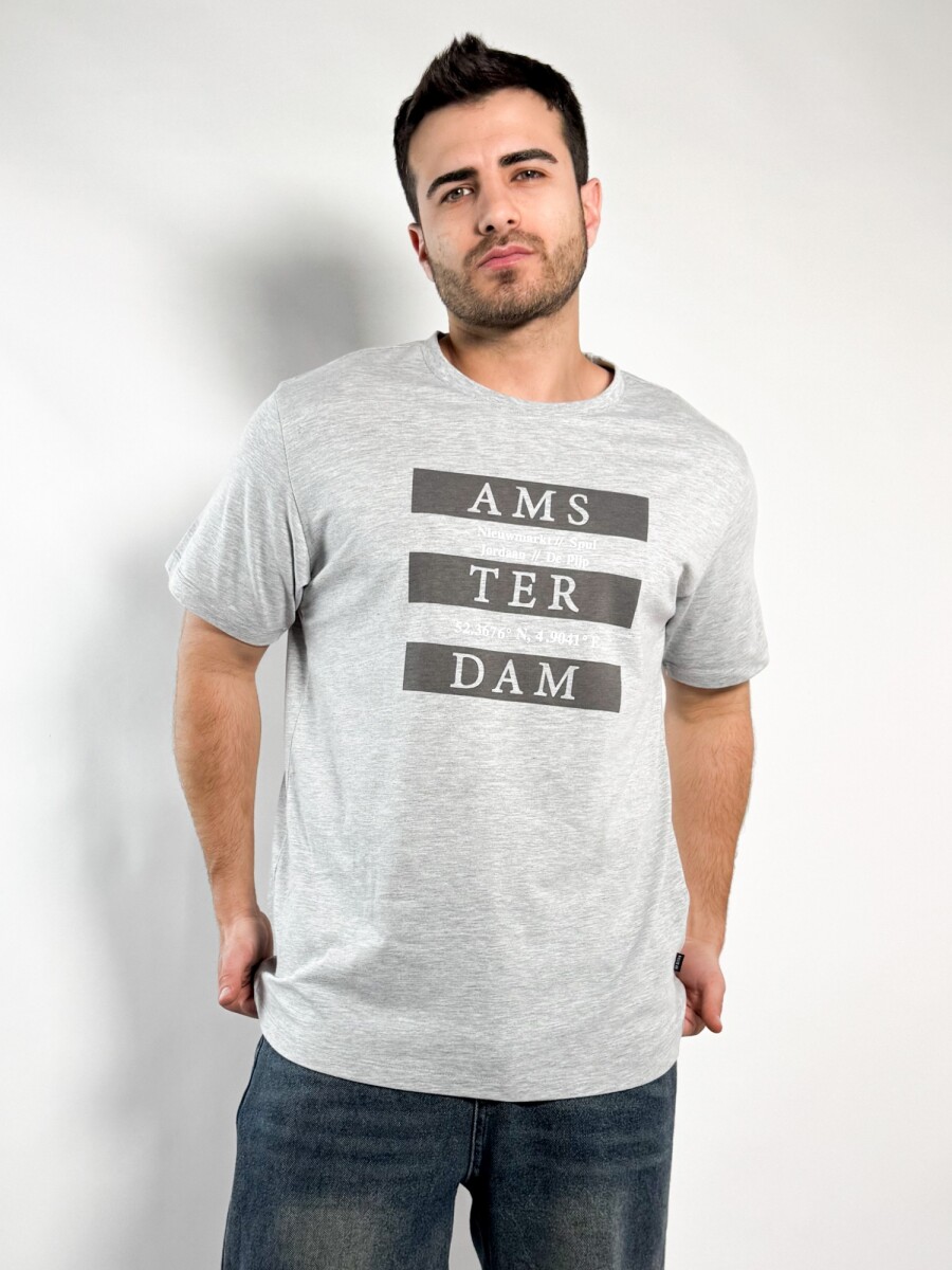Remera estampada Buley - Gris 