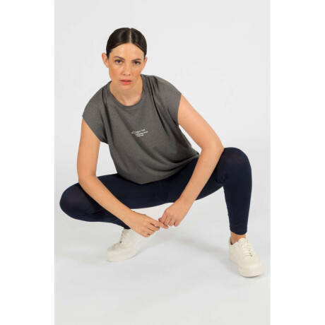 Remera rio Gris melange