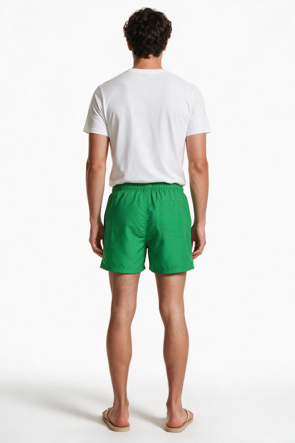 Short Terrier Menta