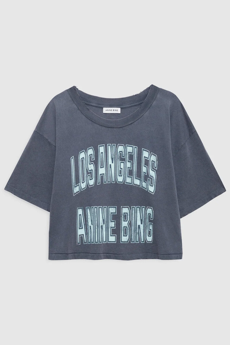 REMERA JOHNNY Gris