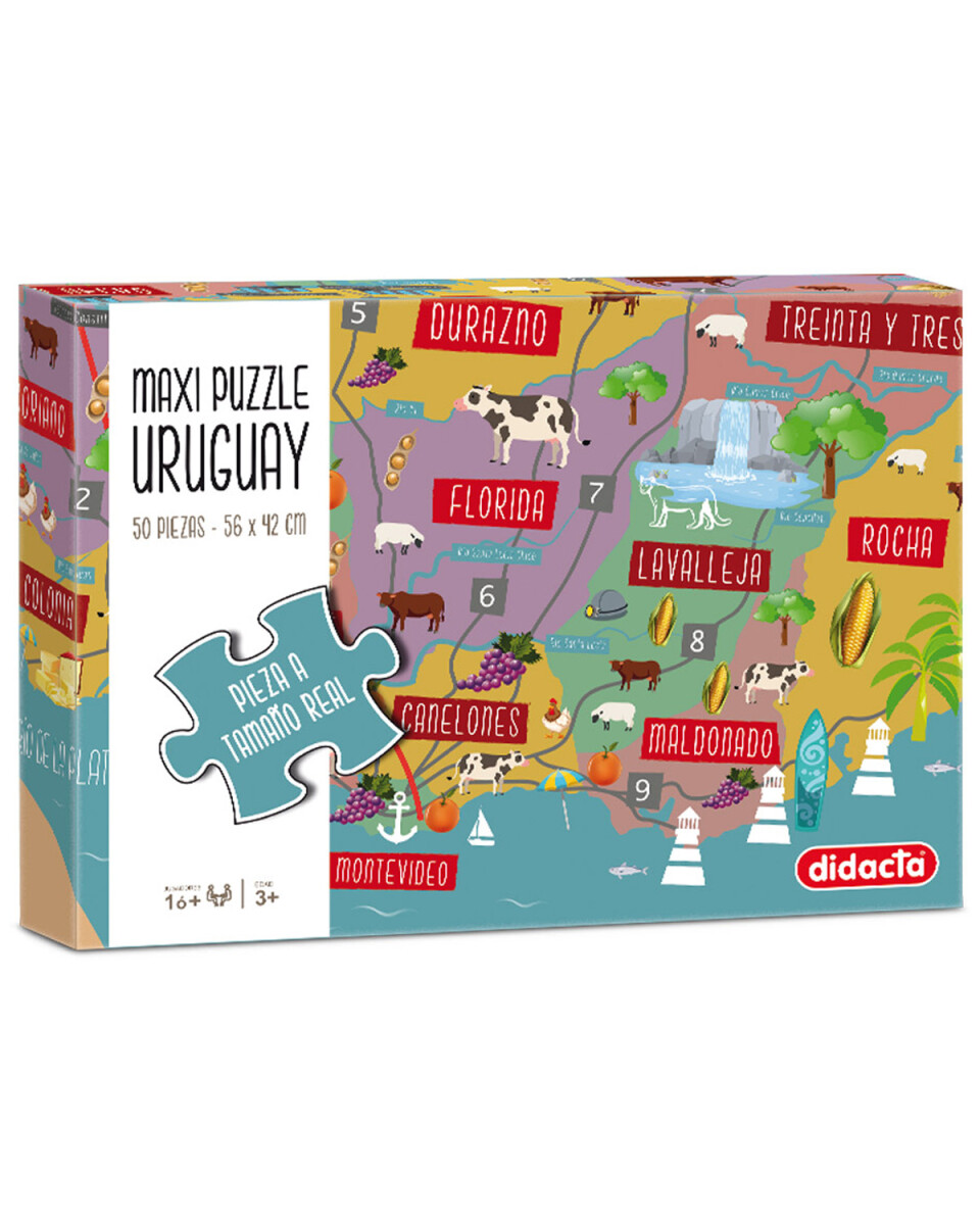 Puzzle Didacta mapa de Uruguay 50 piezas 