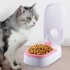 Dispensador De Alimento Timer Para Mascotas Gatos Perros Color Variante Rosa