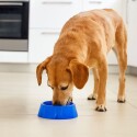 PLATO COMEDERO MASCOTA 20CM PLATO COMEDERO MASCOTA 20CM
