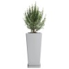 Macetero Piramidal 45 Gris Perla c/Plato, Alto 45cm x 21.5cm Ancho Boca x 15.6 Base, 20 lts Macetero Piramidal 45 Gris Perla c/Plato, Alto 45cm x 21.5cm Ancho Boca x 15.6 Base, 20 lts