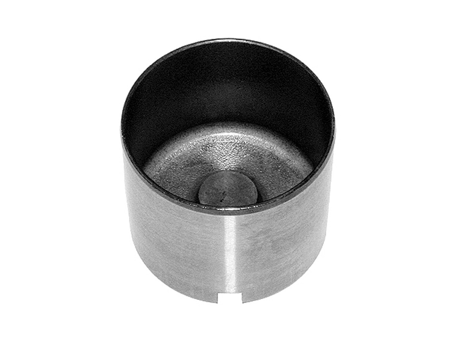 Botador 