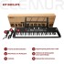 Organo Teclado Musical piano 61 Teclas Microfono 200 Tonos Ritmos Imback Itm008 Color Negro Organo Teclado Musical piano 61 Teclas Microfono 200 Tonos Ritmos Imback Itm008 Color Negro