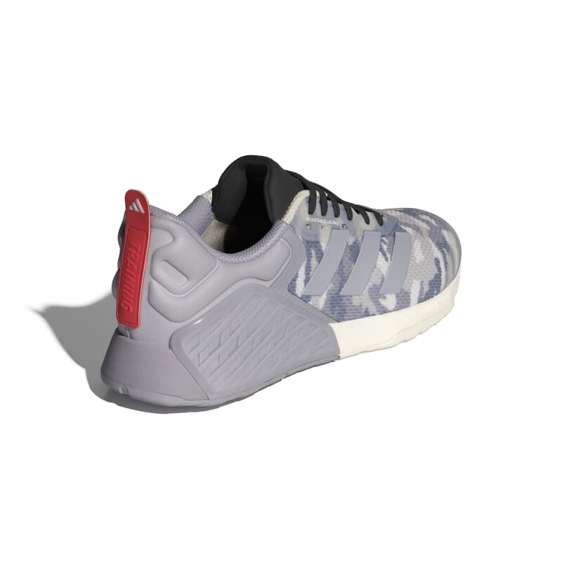 Championes Adidas Dropset 3 GFX Gris