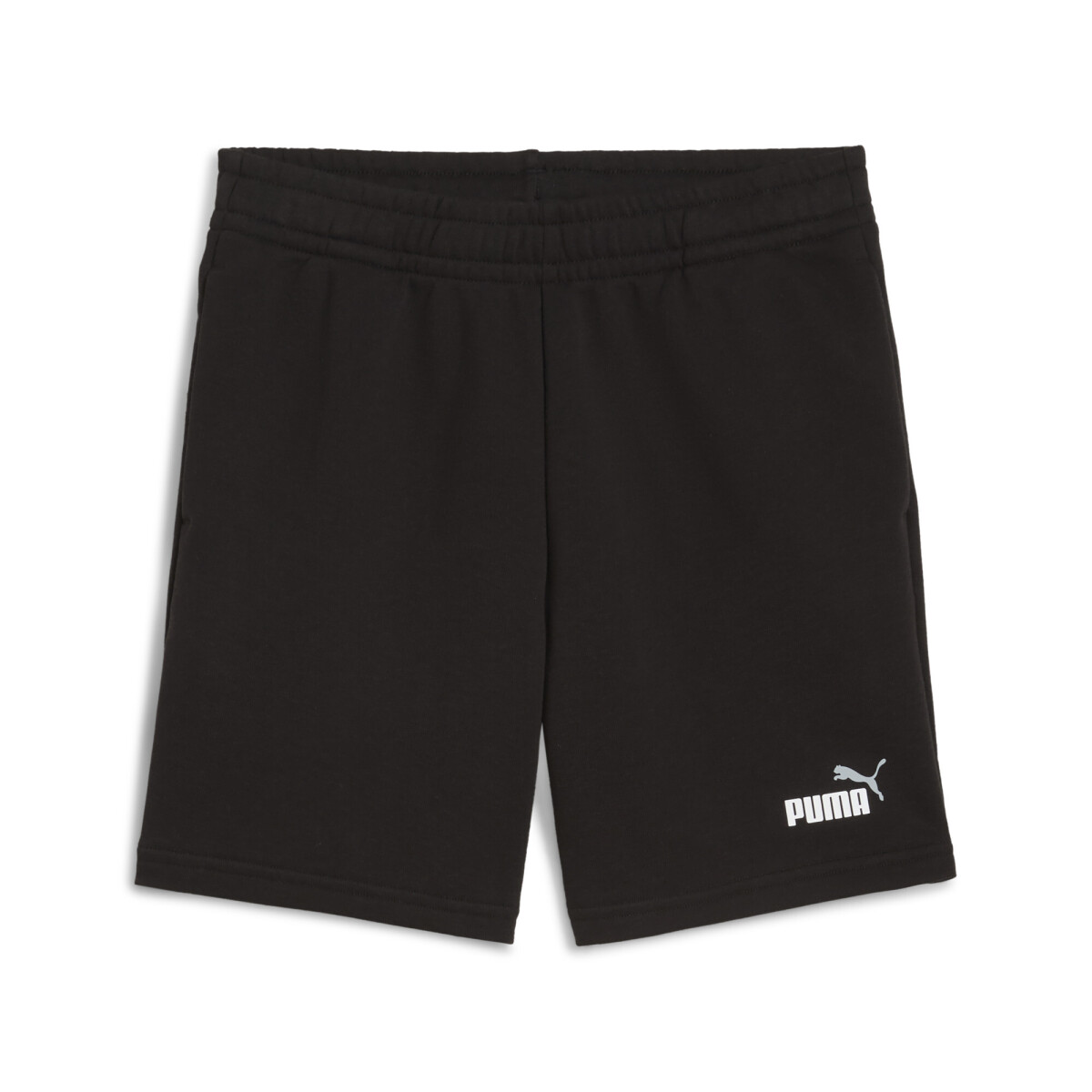 ESS 2 Nş1 Logo Shorts TR B 68582601 - Negro 