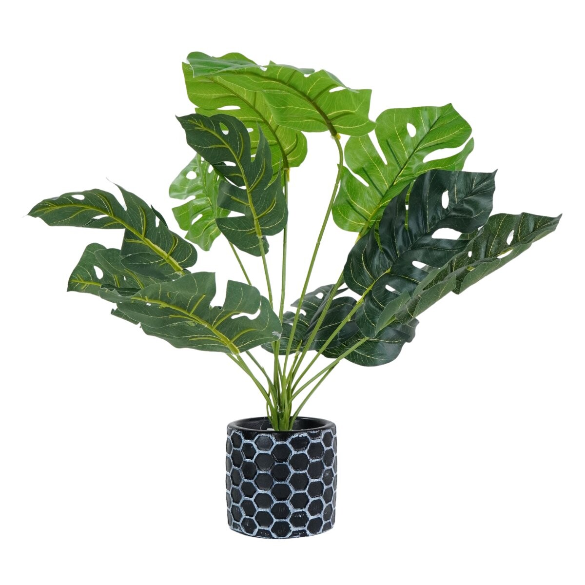 Planta artificial Esqueleto de Caballo 