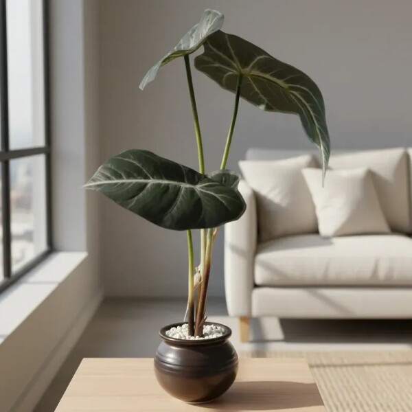 Planta Artificial Alocasia Planta Artificial Alocasia