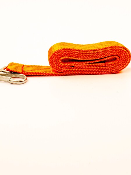 Cabresto de cinta con mosqueton Naranja