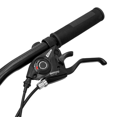 Bicicleta Montaña Expert Patriot Rodado 29 Shimano con Frenos de Disco y 21 Cambios Negro