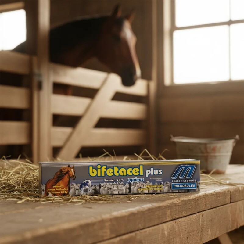 BIFETACEL PLUS 31 GR TOMA PARA CABALLOS BIFETACEL PLUS 31 GR TOMA PARA CABALLOS