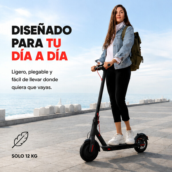 Monopatin Electrico Scooter Gogreen Chill R 8.5 30Km/h 30Km Variante Color Negro