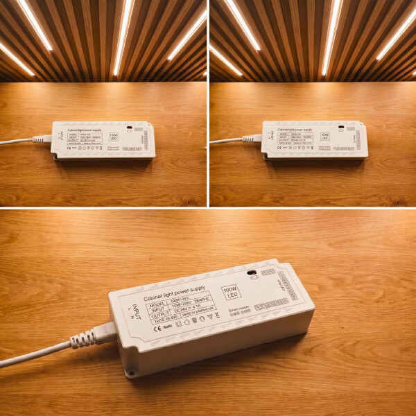 Transformador Luz Led Wpc 100w 24v Conexión Hasta 12 Luces Color Blanco