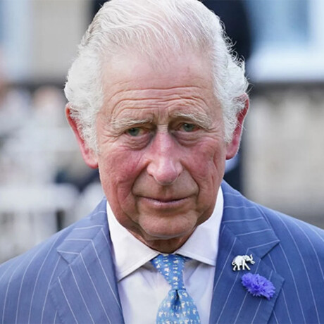 Prince Charles • Royals - 02 Prince Charles • Royals - 02