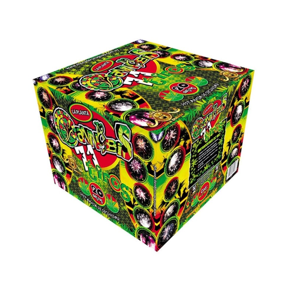 TORTA LA PLANTA 71T TORTA LA PLANTA 71T