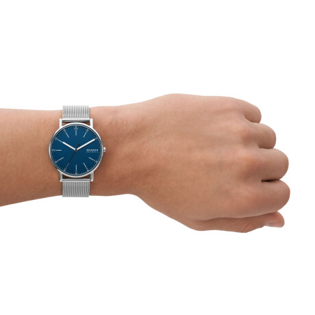 Reloj Skagen Fashion Acero Inoxidable Plata 0