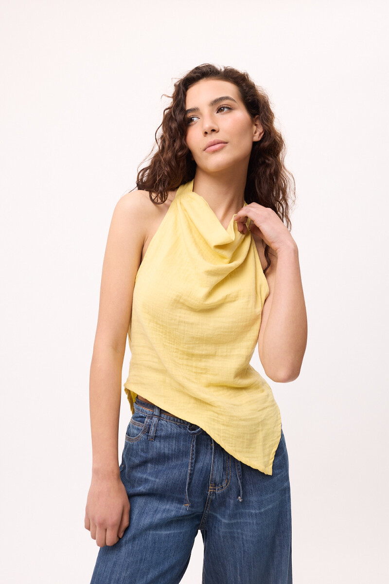 Top Salt Amarillo