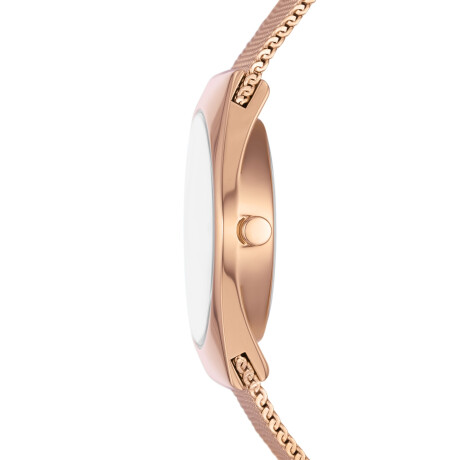 Reloj Skagen Clásico Acero Inoxidable Oro Rosa 0