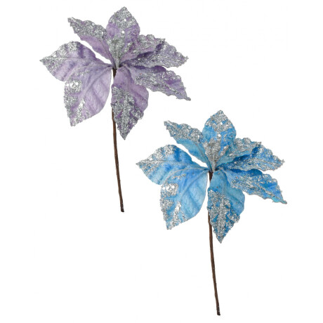 Flor estrella federal Flor estrella federal