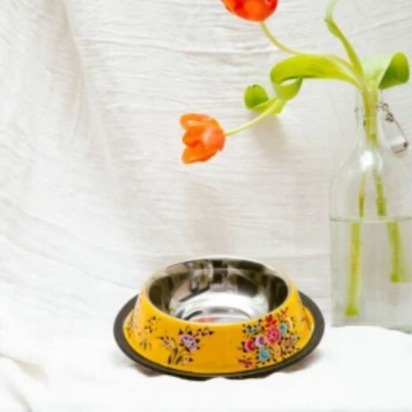 PLATO PARA PERRO FRIDA Amarillo